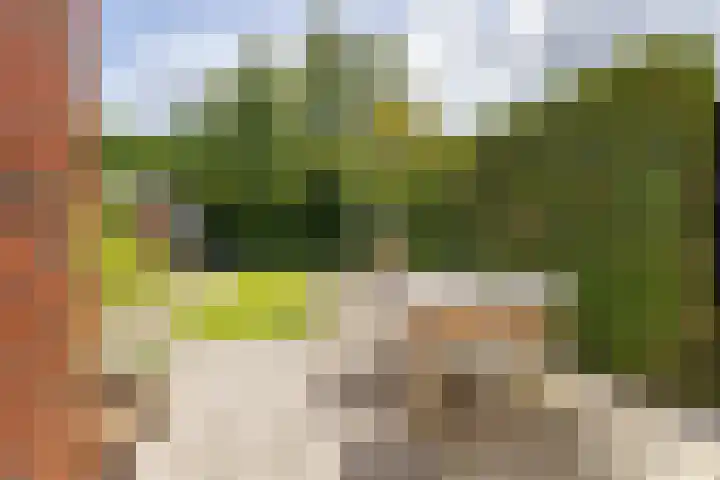 Da Costalaan 24 Haren Gn thumbnail 20