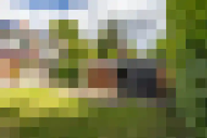 Da Costalaan 24 Haren Gn thumbnail 21