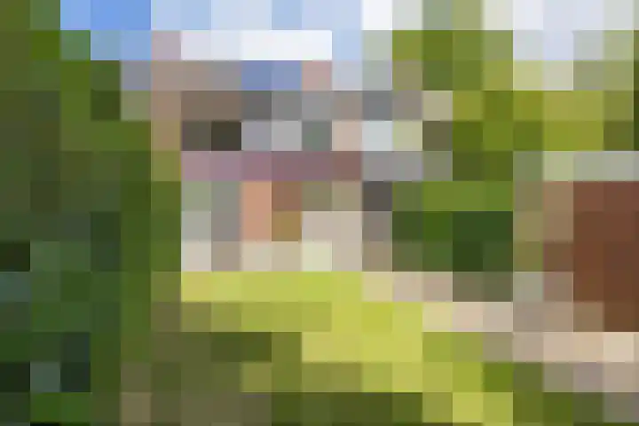 Da Costalaan 24 Haren Gn thumbnail 23