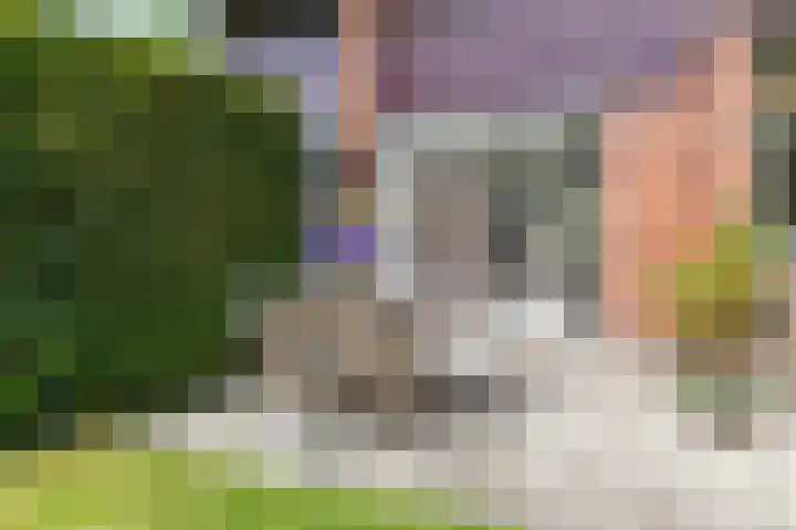 Da Costalaan 24 Haren Gn thumbnail 24