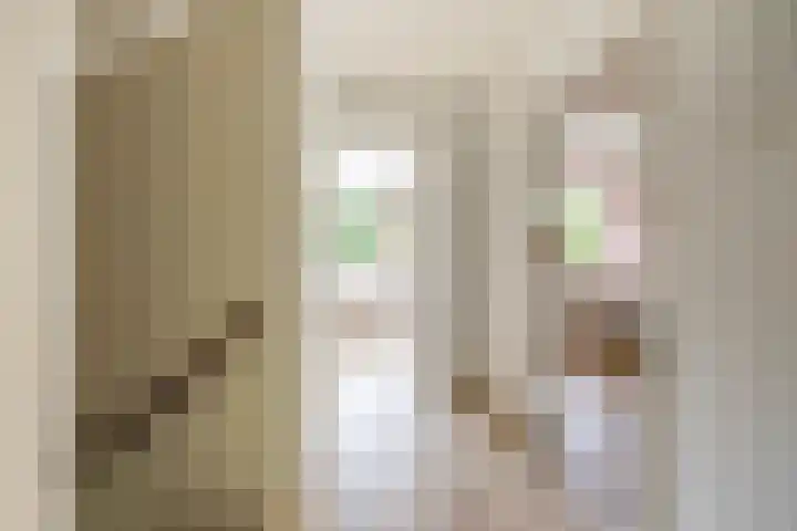 Da Costalaan 24 Haren Gn thumbnail 25