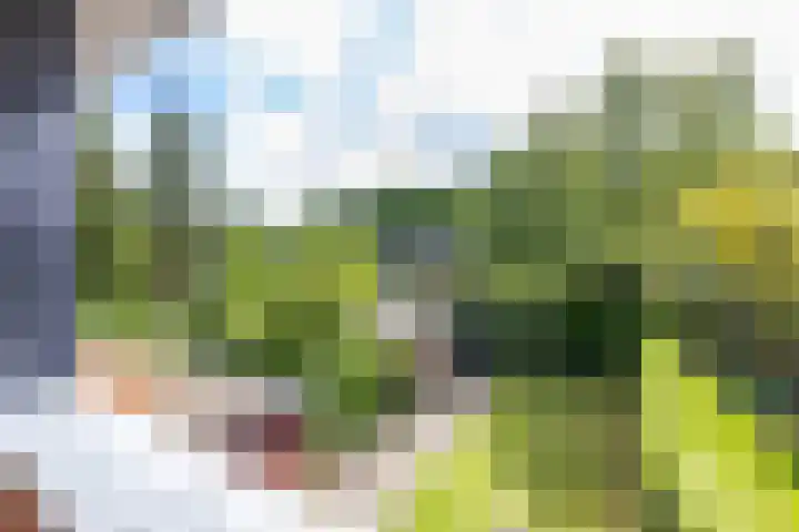 Da Costalaan 24 Haren Gn thumbnail 29