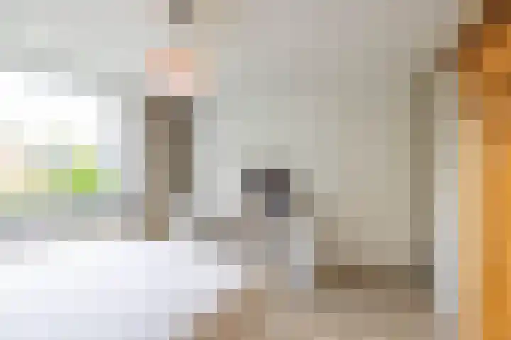 Da Costalaan 24 Haren Gn thumbnail 31