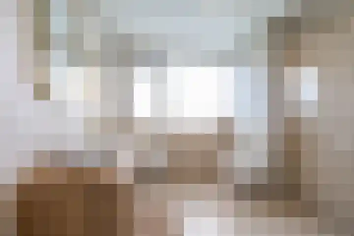 Da Costalaan 24 Haren Gn thumbnail 32