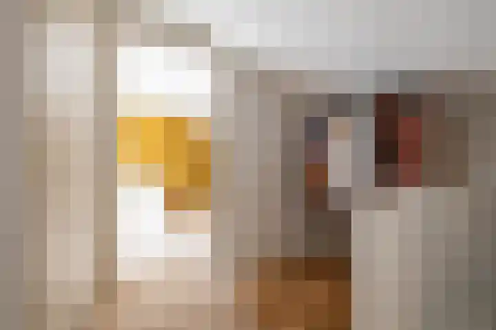 Da Costalaan 24 Haren Gn thumbnail 35