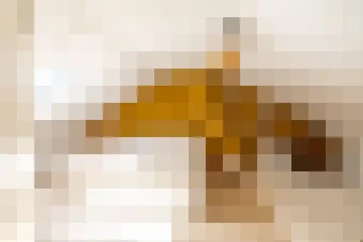 Da Costalaan 24 Haren Gn thumbnail 36