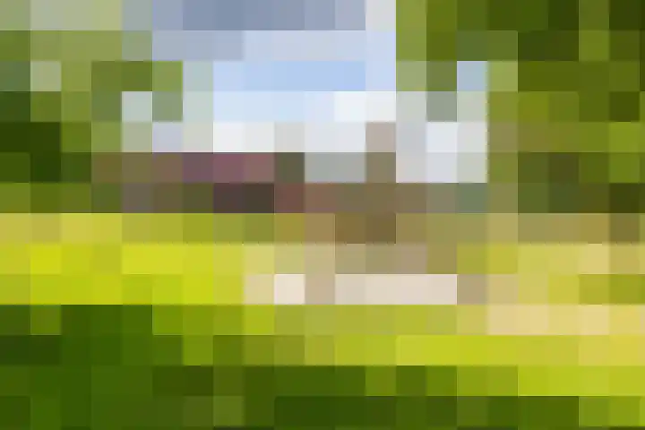 Da Costalaan 24 Haren Gn thumbnail 39