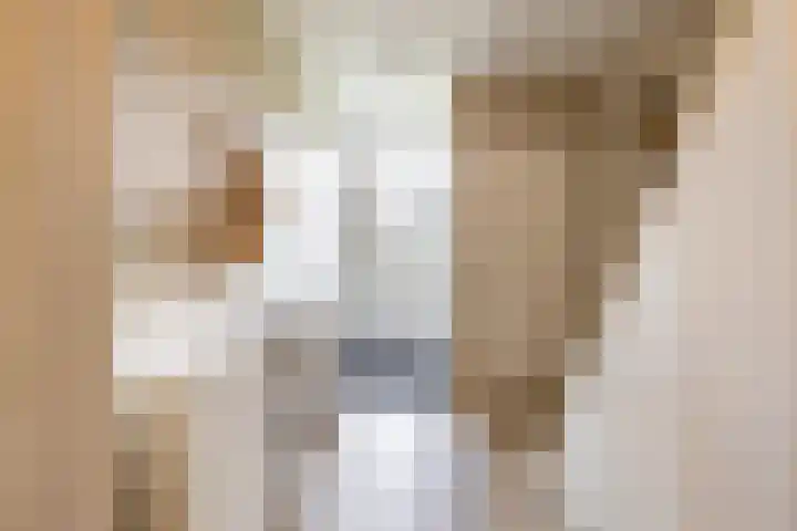 Da Costalaan 24 Haren Gn thumbnail 4