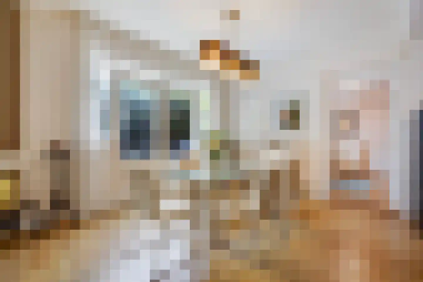 Da Costalaan 25 Rijswijk thumbnail 15