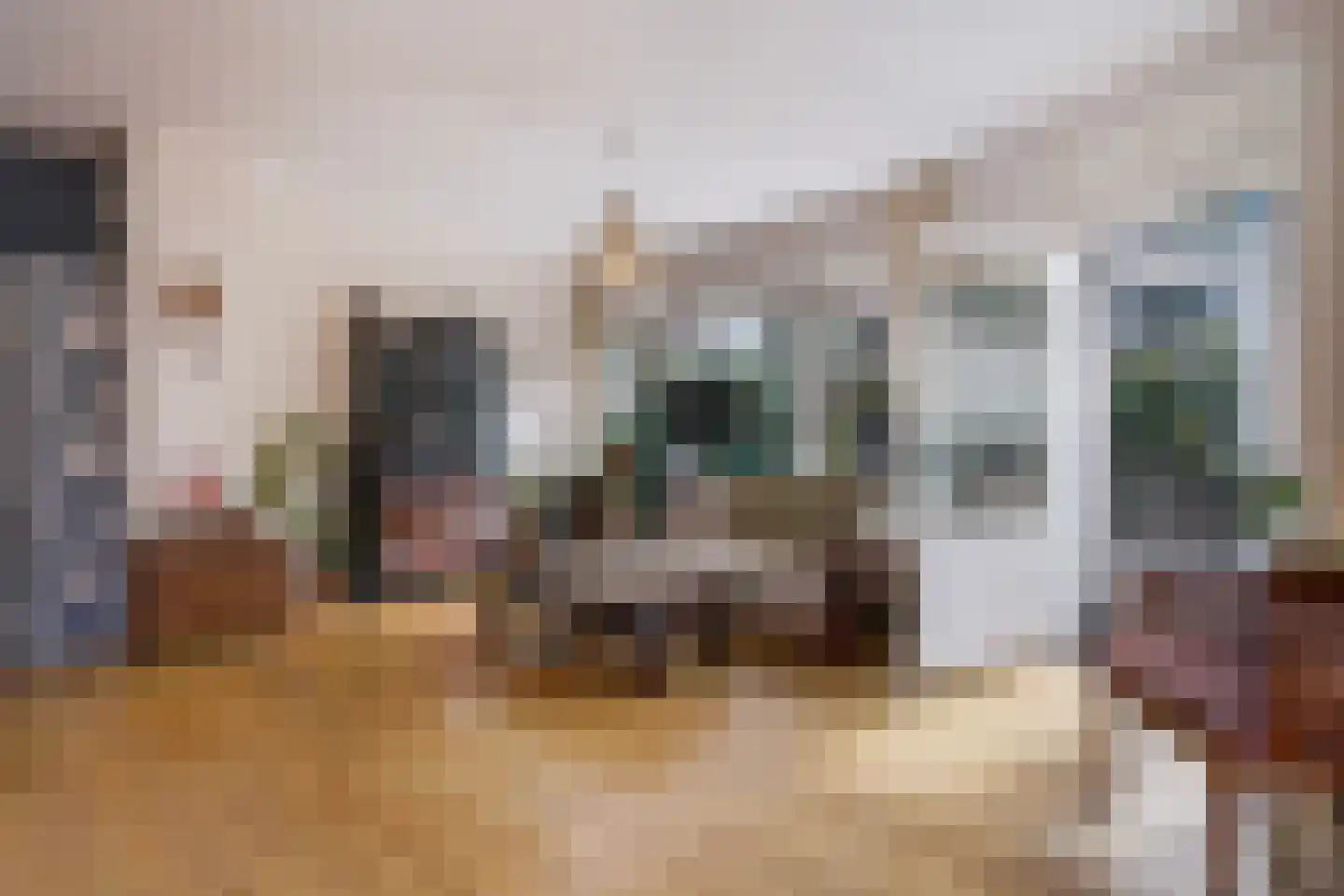 Da Costalaan 25 Rijswijk thumbnail 17
