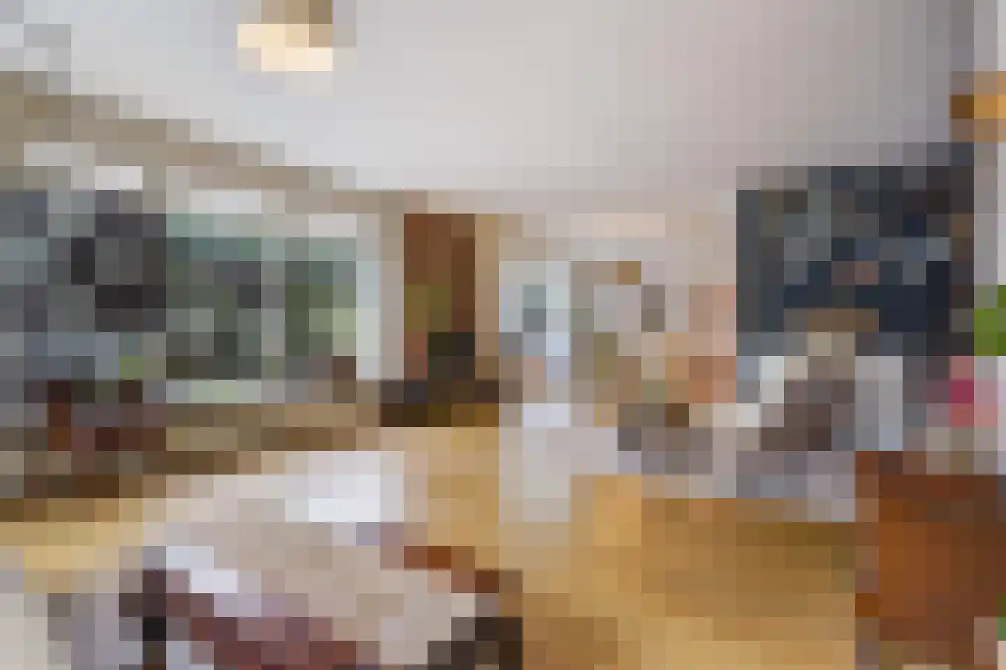 Da Costalaan 25 Rijswijk thumbnail 19