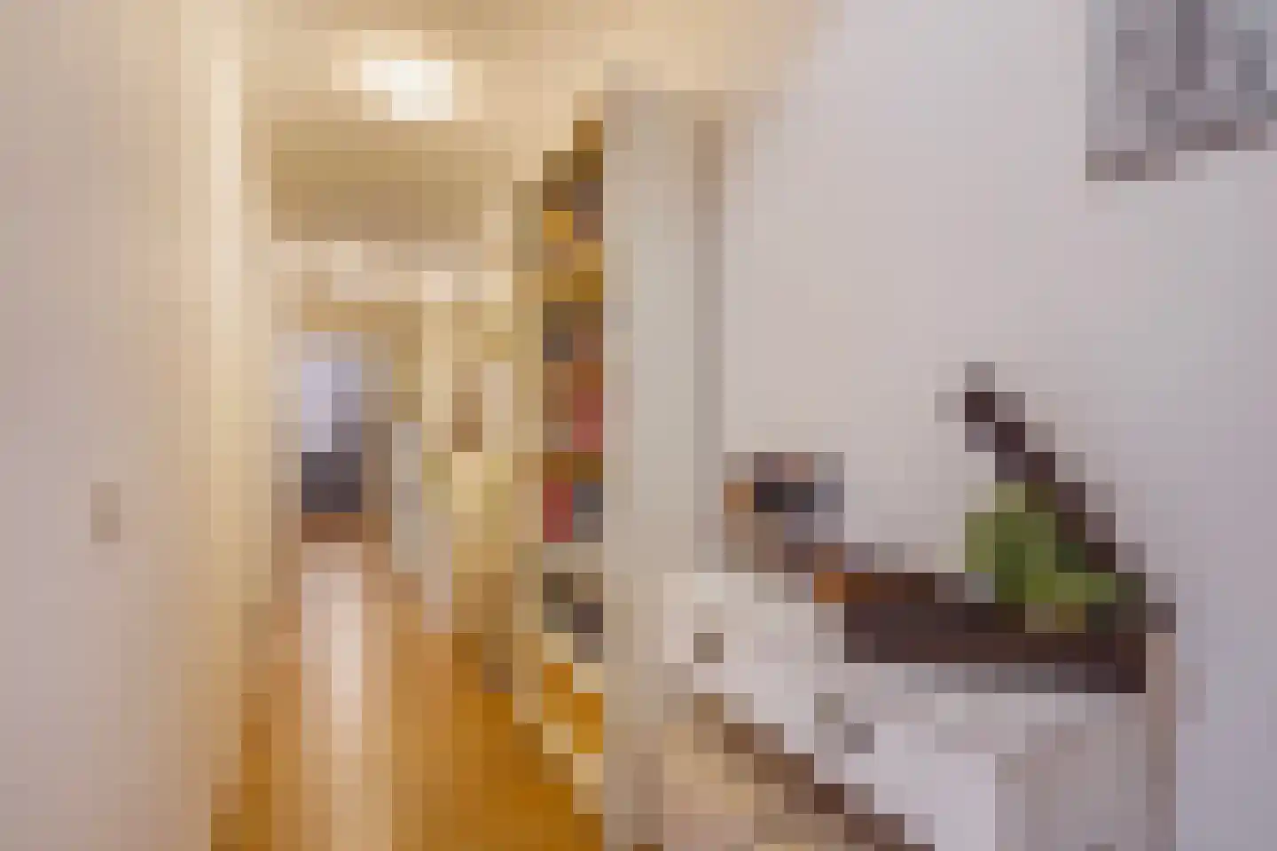Da Costalaan 25 Rijswijk thumbnail 26