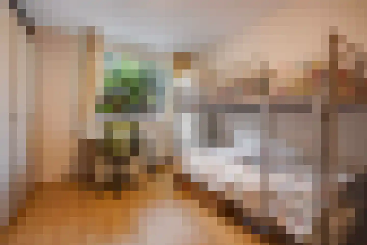 Da Costalaan 25 Rijswijk thumbnail 27