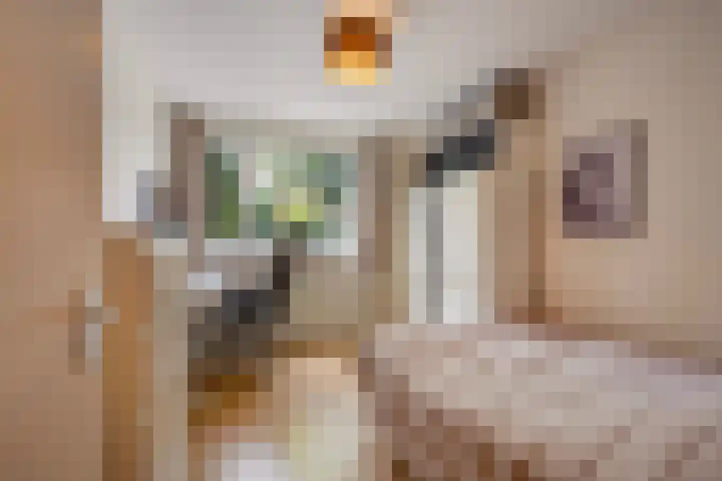 Da Costalaan 25 Rijswijk thumbnail 29