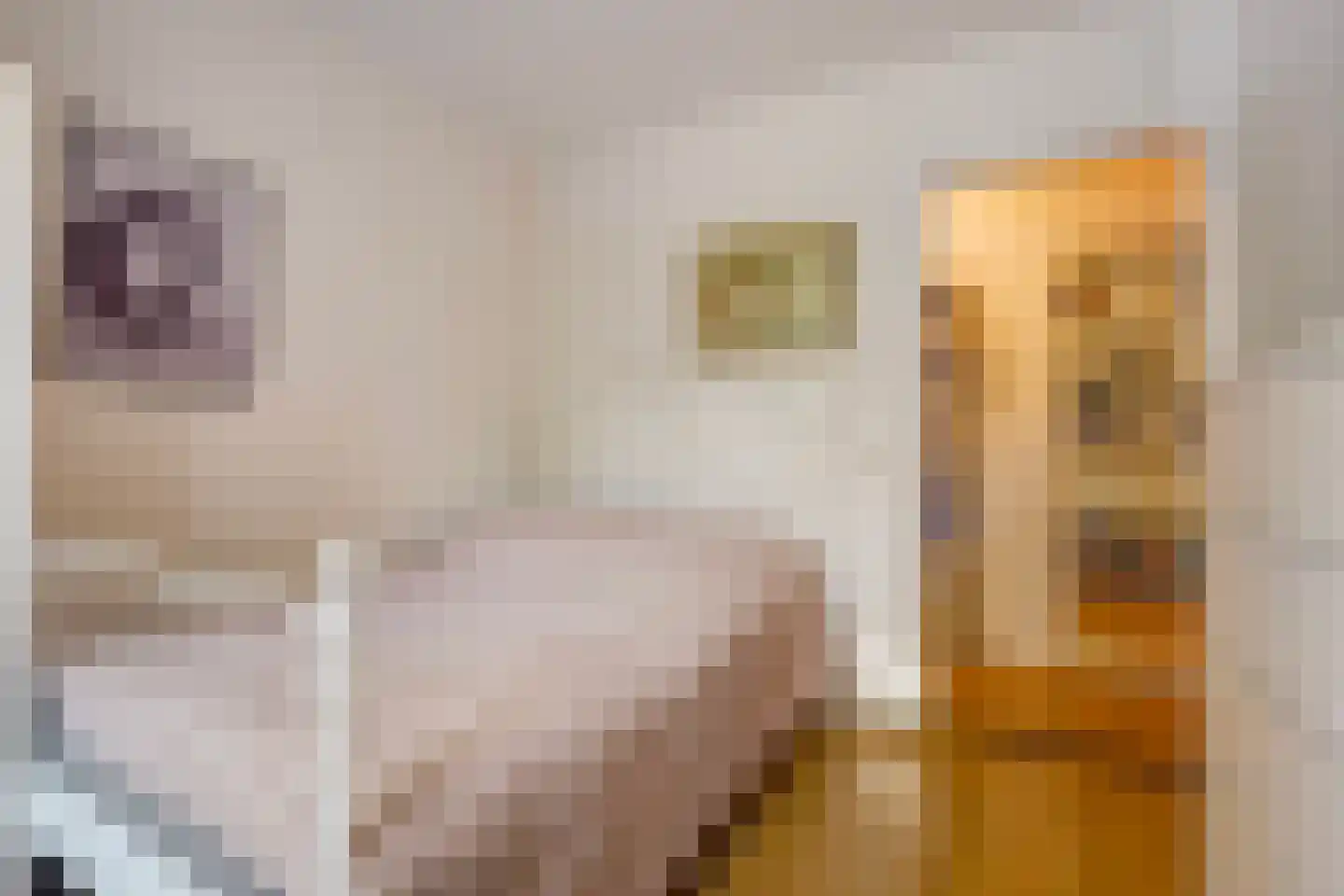 Da Costalaan 25 Rijswijk thumbnail 30