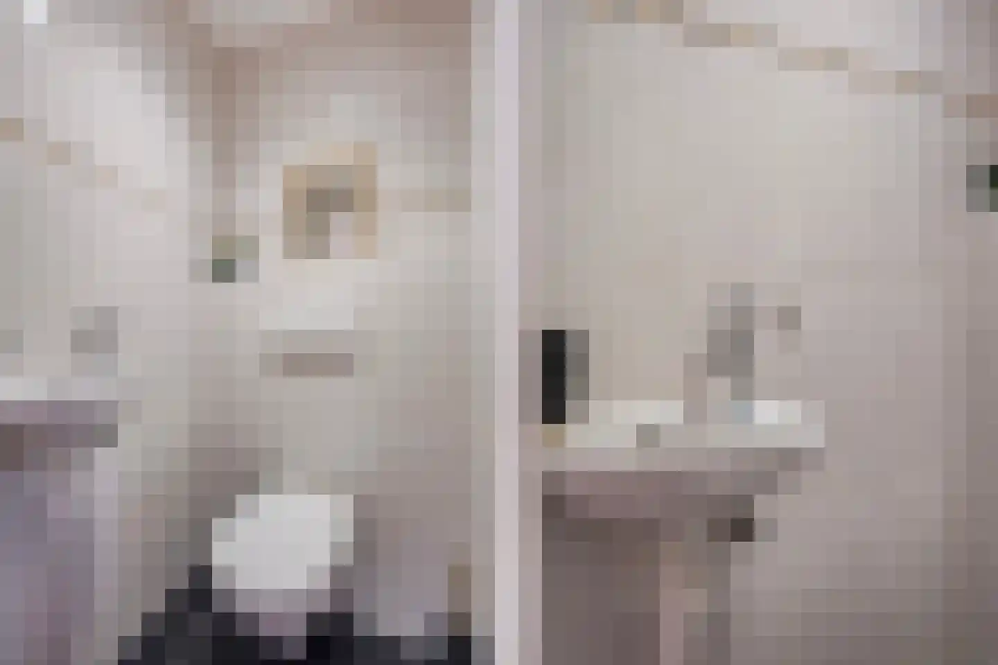 Da Costalaan 25 Rijswijk thumbnail 33