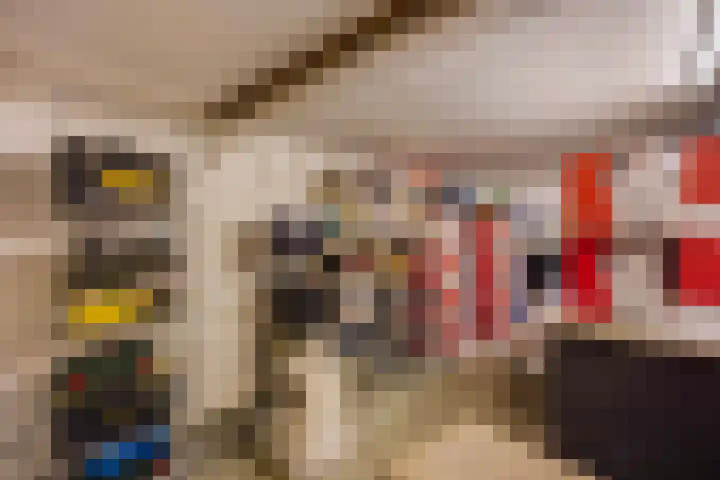 Da Costalaan 25 Rijswijk thumbnail 34