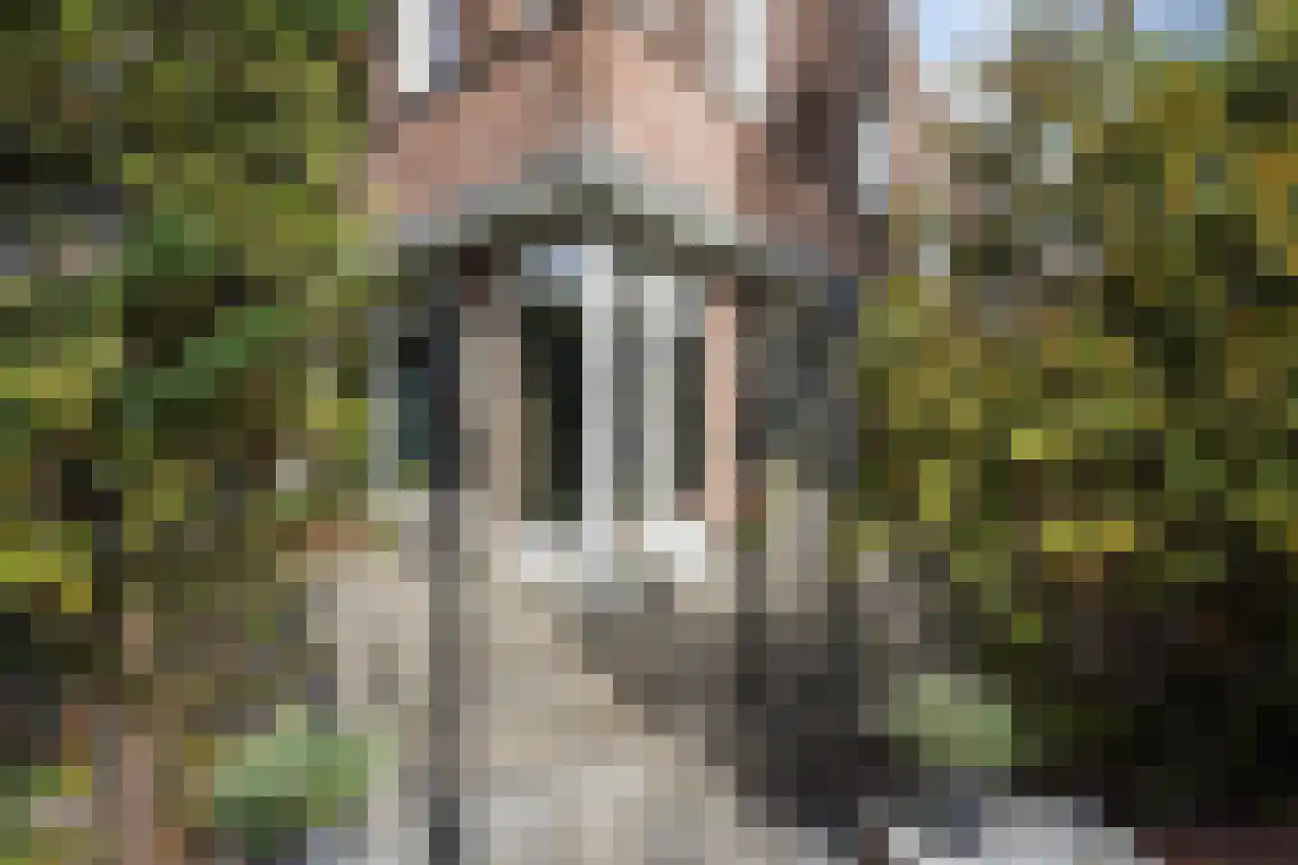 Da Costalaan 25 Rijswijk thumbnail 7