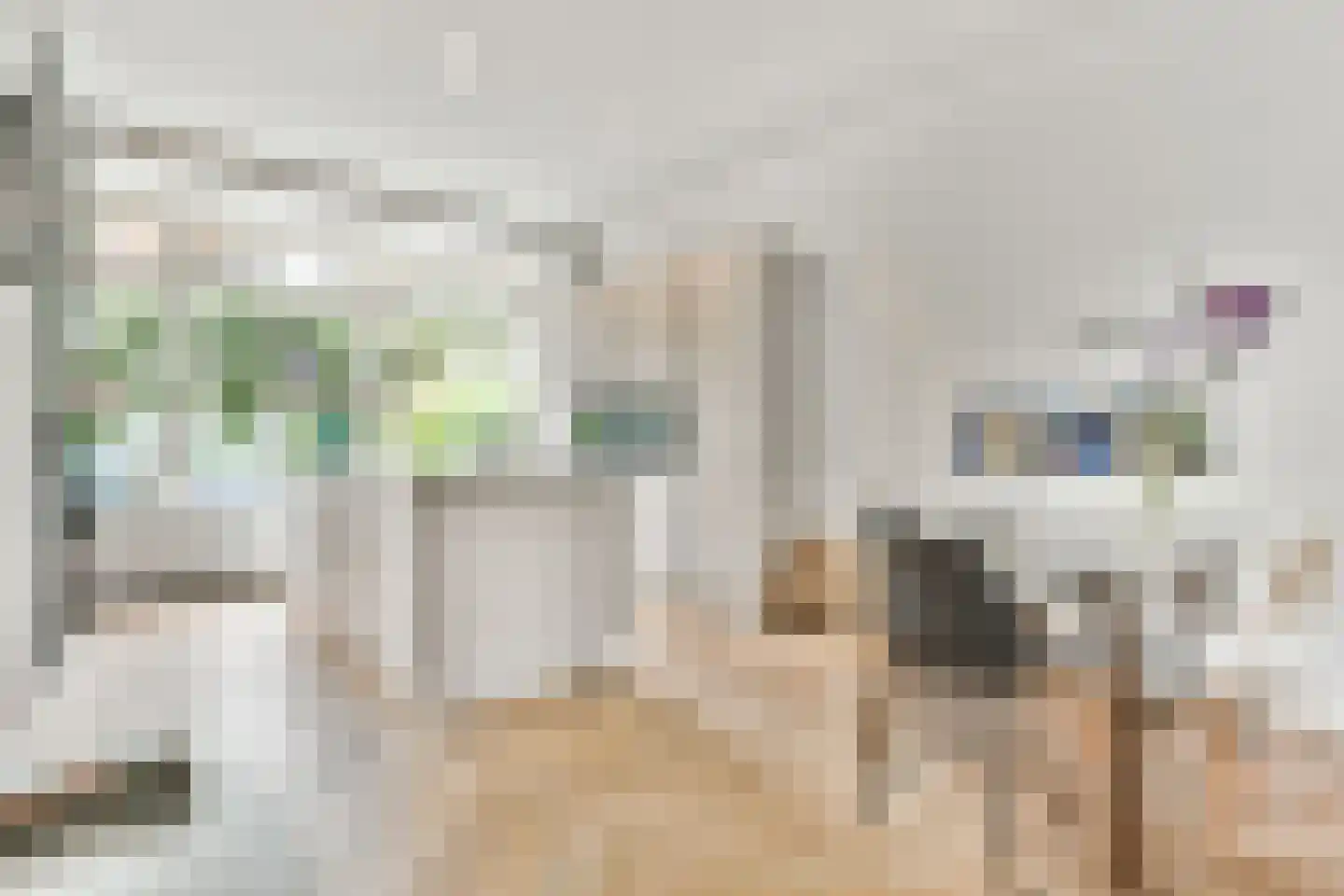 Da Costalaan 3 Amstelveen thumbnail 13