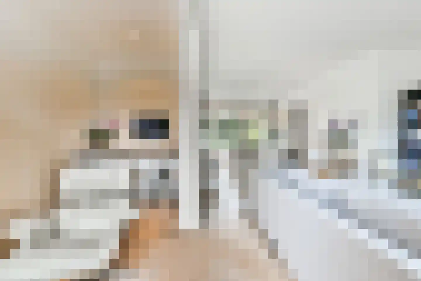 Da Costalaan 3 Amstelveen thumbnail 18