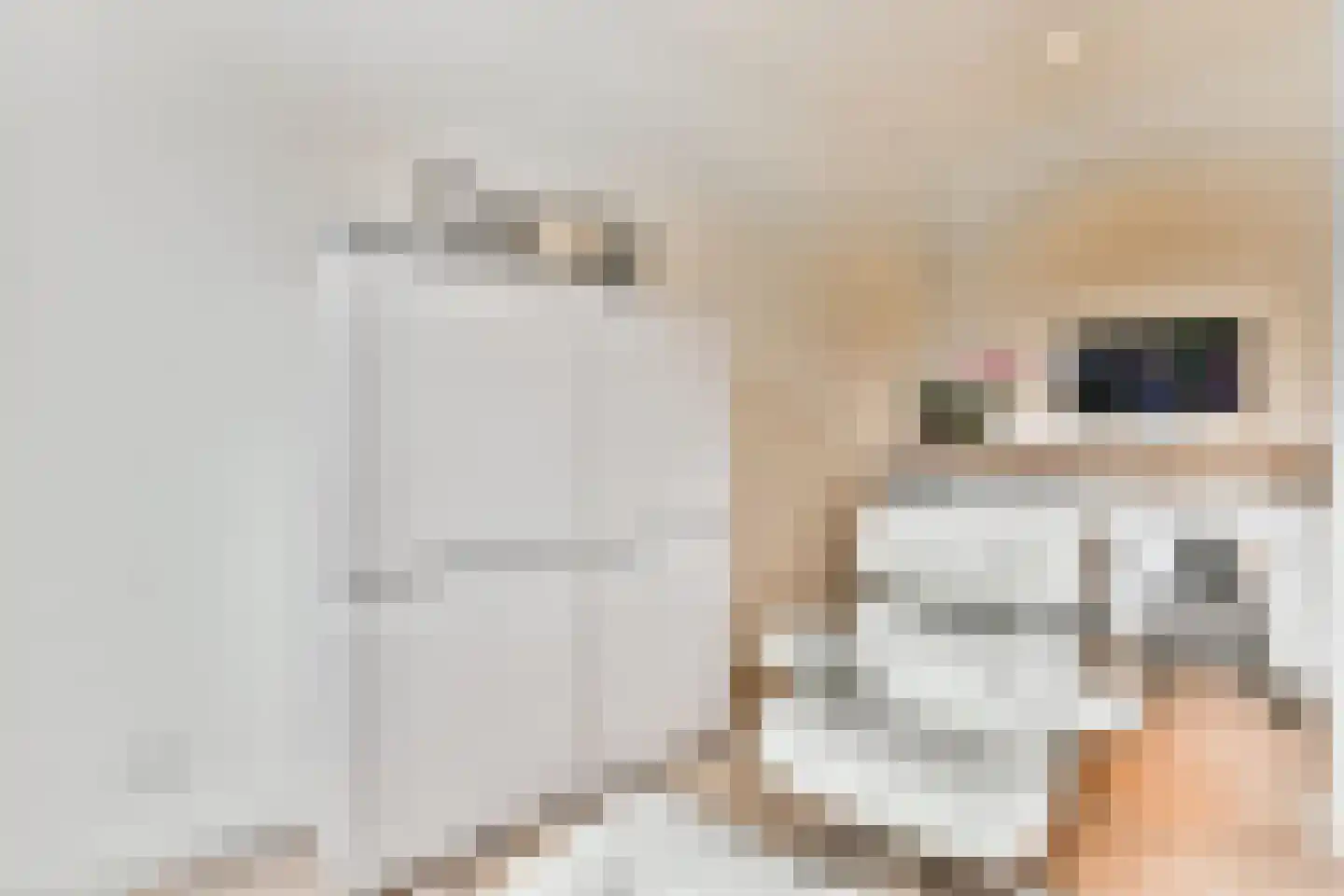 Da Costalaan 3 Amstelveen thumbnail 19