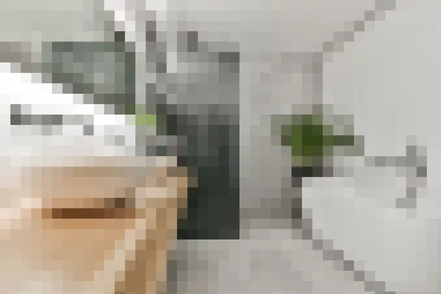 Da Costalaan 3 Amstelveen thumbnail 26