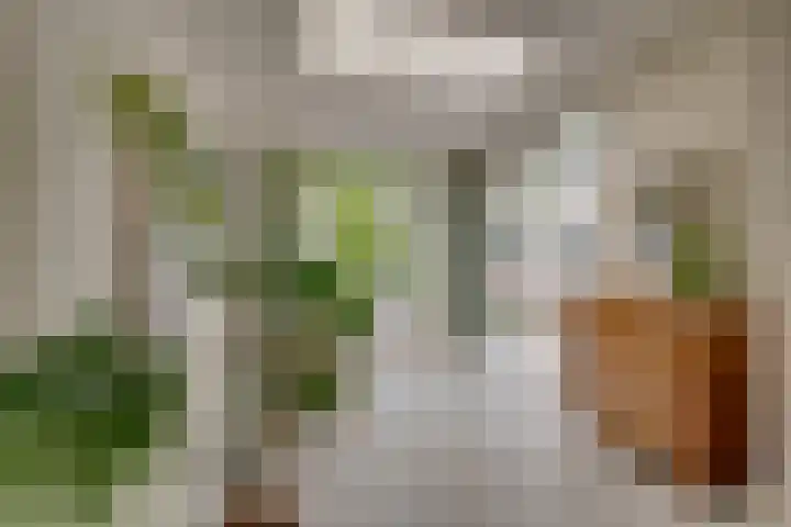 Da Costalaan 3 Bilthoven thumbnail 12