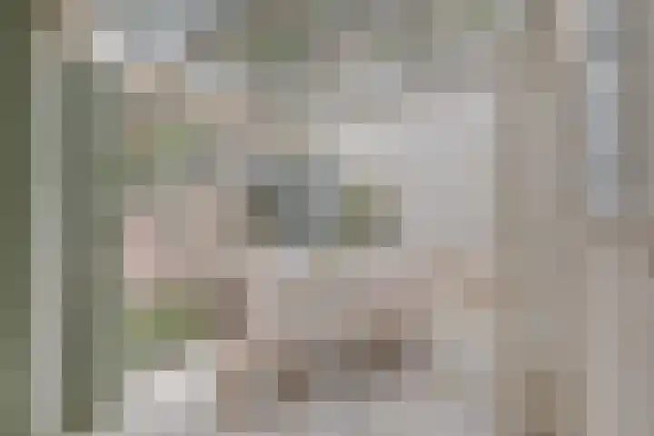 Da Costalaan 3 Bilthoven thumbnail 13
