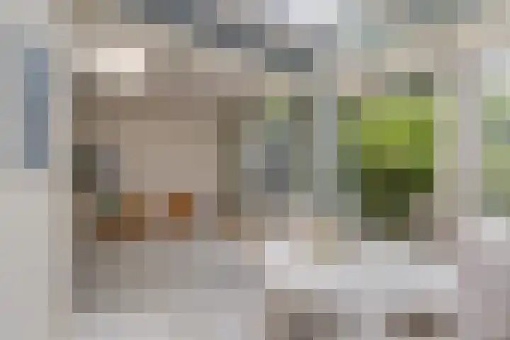 Da Costalaan 3 Bilthoven thumbnail 14