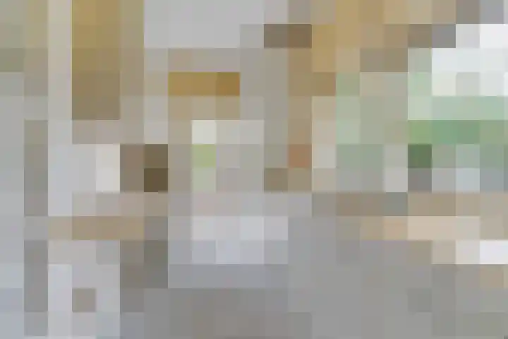 Da Costalaan 3 Bilthoven thumbnail 15