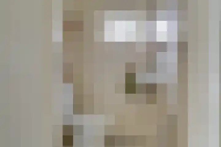 Da Costalaan 3 Bilthoven thumbnail 17