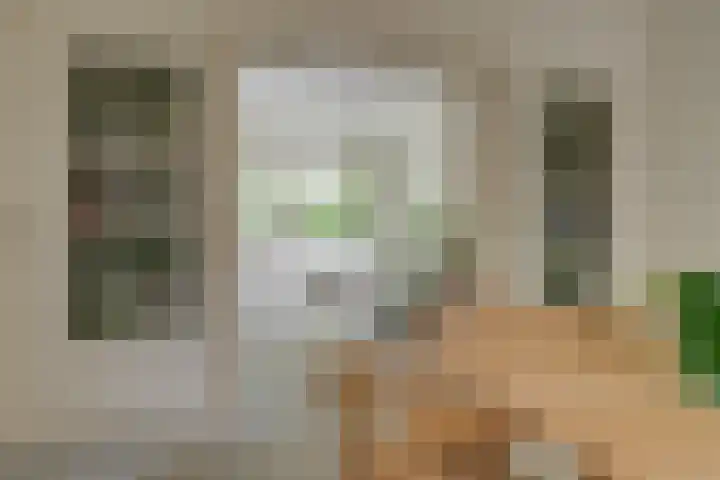 Da Costalaan 3 Bilthoven thumbnail 22