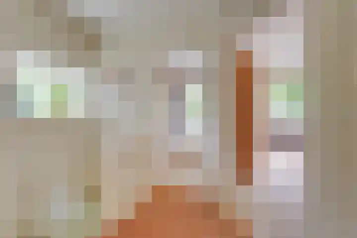 Da Costalaan 3 Bilthoven thumbnail 24