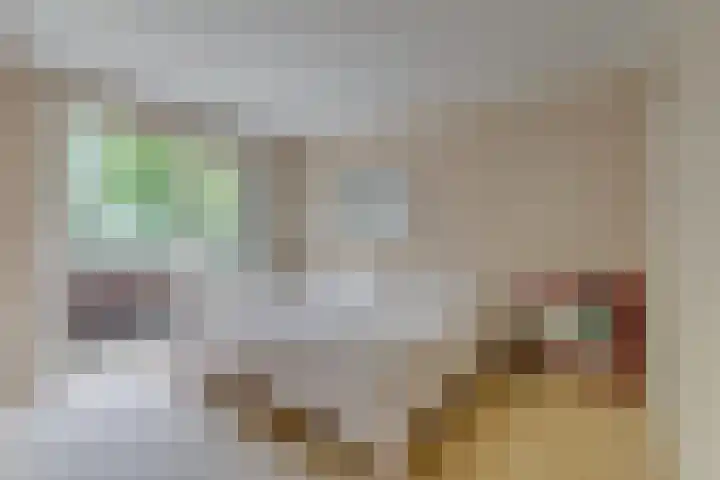 Da Costalaan 3 Bilthoven thumbnail 25