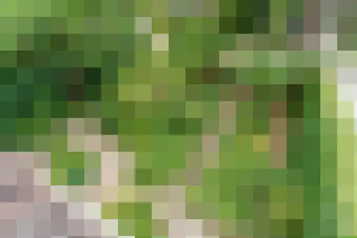 Da Costalaan 3 Bilthoven thumbnail 28