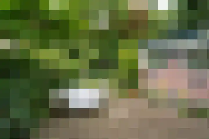 Da Costalaan 3 Bilthoven thumbnail 46