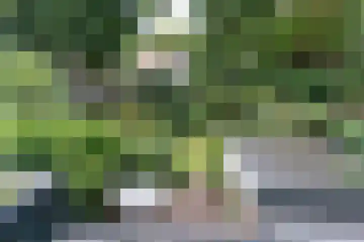 Da Costalaan 3 Bilthoven thumbnail 47