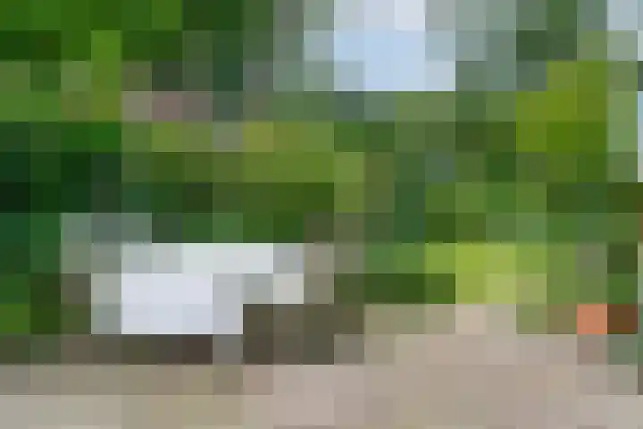 Da Costalaan 3 Bilthoven thumbnail 48