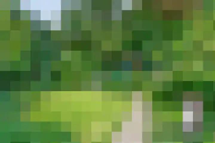 Da Costalaan 3 Bilthoven thumbnail 49