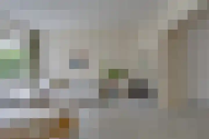 Da Costalaan 3 Bilthoven thumbnail 5