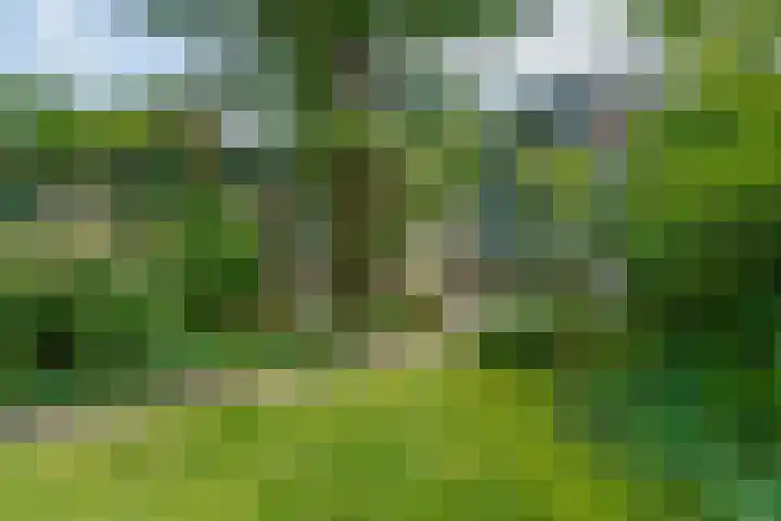 Da Costalaan 3 Bilthoven thumbnail 50