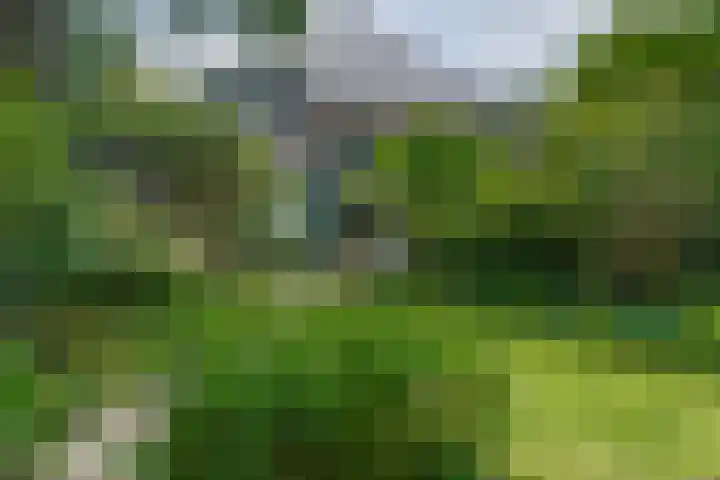 Da Costalaan 3 Bilthoven thumbnail 52
