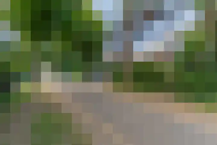 Da Costalaan 3 Bilthoven thumbnail 54