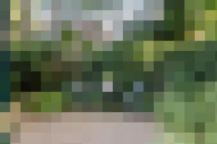 Da Costalaan 3 Bilthoven thumbnail 55