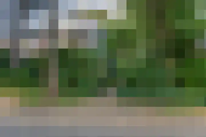 Da Costalaan 3 Bilthoven thumbnail 56