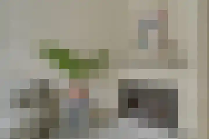 Da Costalaan 3 Bilthoven thumbnail 8