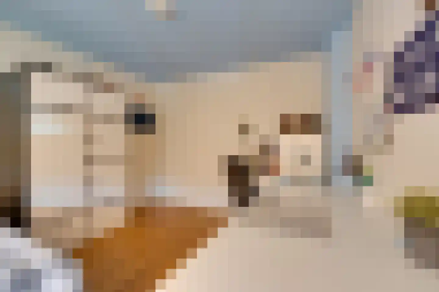 Da Costalaan 30 Amstelveen thumbnail 25
