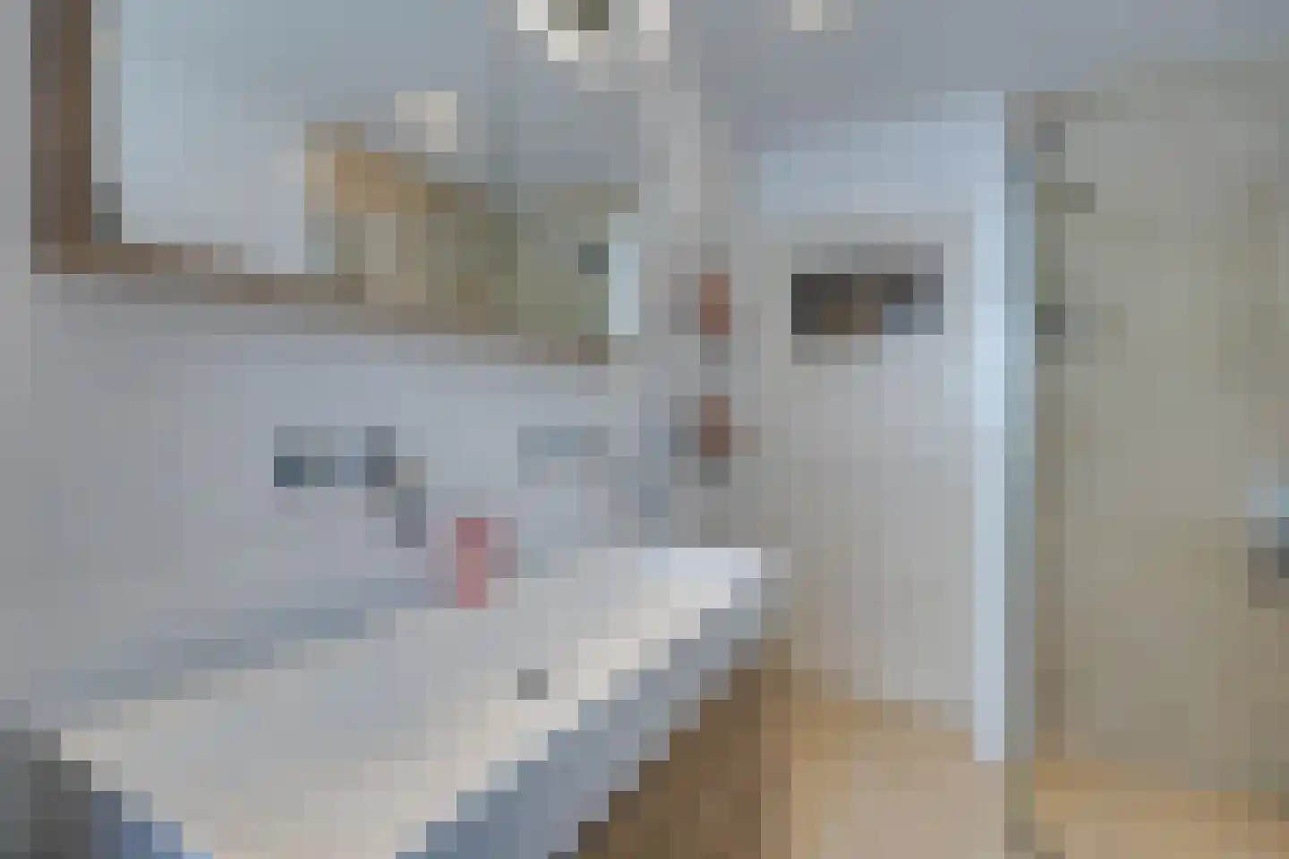 Da Costalaan 30 Amstelveen thumbnail 30
