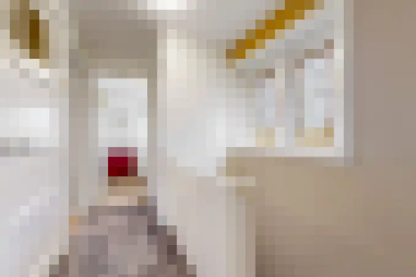 Da Costalaan 31 Driehuis NH thumbnail 14