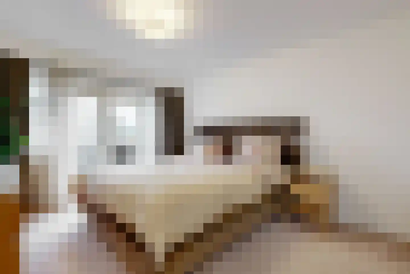 Da Costalaan 31 Driehuis NH thumbnail 16